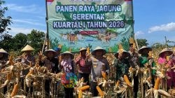 Sinergi Polres Pemalang dan Petani Wujudkan Ketahanan Pangan Nasional