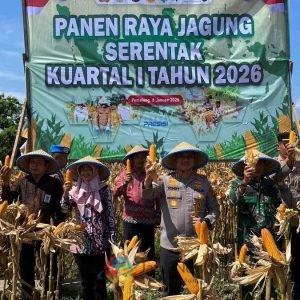 Sinergi Polres Pemalang dan Petani Wujudkan Ketahanan Pangan Nasional