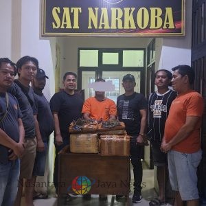 dengan judul : Bawa 26 Kg Ganja, Pelaku Narkotika Ditangkap Usai Coba Kabur dari Polisi