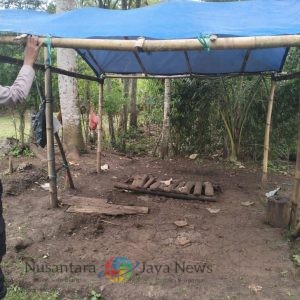 Polres Malang Kembali Bongkar Area Sabung Ayam di Kalipare