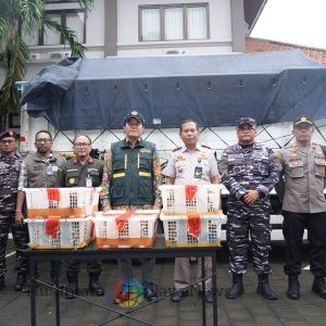 Karantina Bali Amankan Ribuan Burung Ilegal di Padangbai