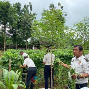 Lapas Batang Panen Kacang Panjang, Wujud Pembinaan Kemandirian dan Ketahanan Pangan