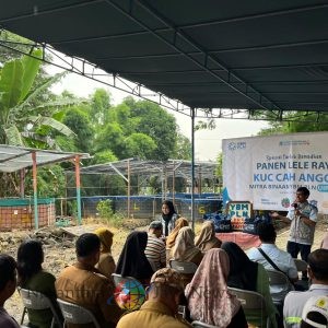 Panen Lele Raya di Gayungan, YBM PLN UIP JBTB Teguhkan Pemberdayaan Ekonomi Berkelanjutan