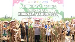 Polres Malang Panen Raya Jagung, Hasil 8 Ton untuk Dukung Stok Pangan