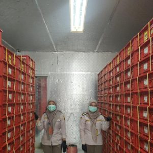 Jelang Imlek, Ekspor Manggis Bali ke Tiongkok Meningkat Signifikan