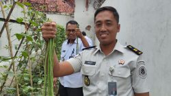 Program Pembinaan Berbuah Hasil, Lapas Tegal Panen Kacang Panjang