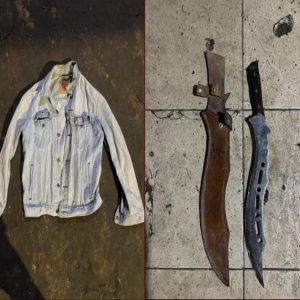 Kurang dari 24 Jam, Satreskrim Polres Gresik Tangkap Pelaku Penusukan