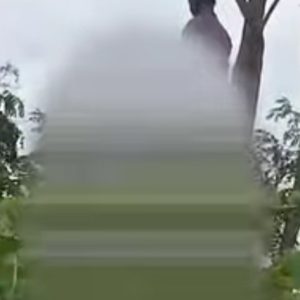 Warga Bangkalan Geger, Pria Ditemukan Gantung Diri di Pohon, Polisi Pastikan Tak Ada Unsur Kekerasan