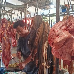 Jelang Ramadan 1447 H, RPH Surabaya Perketat Pengawasan Harga Sapi Hidup dan Daging di Pasar Tradisional