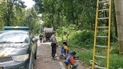 Akses Terganggu, Pohon Tumbang Rusak Kabel Listrik di Pemalang, Polisi Turun Tangan