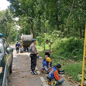 Akses Terganggu, Pohon Tumbang Rusak Kabel Listrik di Pemalang, Polisi Turun Tangan