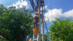 Langkah Preventif PLN Icon Plus Jatim, Perkuat Insfrastruktur dan Estetika Aset Ketenagalistrikan dan Konektivitas di Bojonegoro