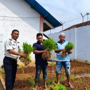 Lapas Pati Manfaatkan Budidaya Kangkung untuk Pembinaan Kemandirian Warga Binaan