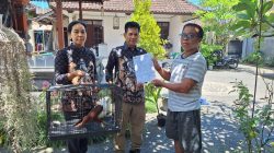 Balai KSDA Bali Evakuasi Elang Bondol dari Warga Mambal