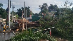 Angin Puting Beliung Dan Hujan Deras Tumbangkan Sejumlah Pohon dan Tiang Listrik di Cabang Kodim 1614 Dompu.