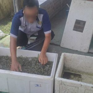Panen 50 Kg Udang Vaname, WBP Lapas Pati Tunjukkan Keberhasilan Program Kemandirian