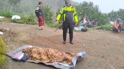 Truk Bermuatan 1,5 Ton Jeruk Terjun ke Jurang 50 Meter di Kintamani, Satu Tewas dan Dua