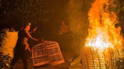 Operasi Cipta Kondisi, Polisi Tertibkan Arena Judi Sabung Ayam di Plemahan