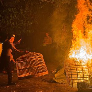 Operasi Cipta Kondisi, Polisi Tertibkan Arena Judi Sabung Ayam di Plemahan