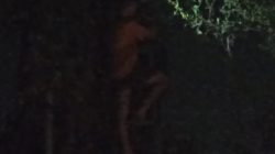 Gangguan WiFi di Malam Hari, Teknisi PT BMG Diduga Langgar Prosedur Keselamatan Kerja 