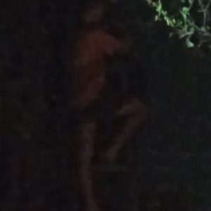 Gangguan WiFi di Malam Hari, Teknisi PT BMG Diduga Langgar Prosedur Keselamatan Kerja 
