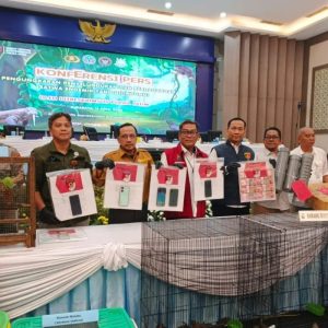 Polda Jatim Gagalkan Penyelundupan Satwa Dilindungi, 11 Tersangka Diringkus