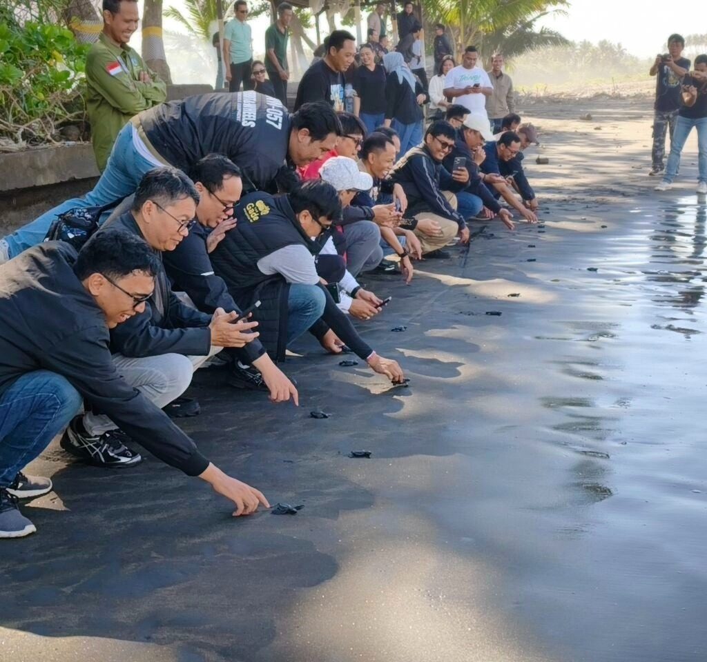 Pegadaian Kanwil VII Denpasar Dukung Pelestarian Penyu di KPP Jagat Kerthi