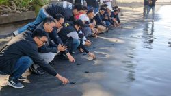 Pegadaian Kanwil VII Denpasar Dukung Pelestarian Penyu di KPP Jagat Kerthi