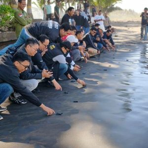 Pegadaian Kanwil VII Denpasar Dukung Pelestarian Penyu di KPP Jagat Kerthi