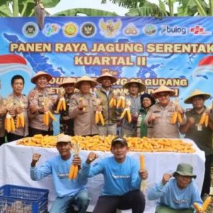 Wujudkan Ketahanan Pangan, Polres Pelabuhan Tanjung Perak Panen Raya Jagung Kuartal II Tahun 2026