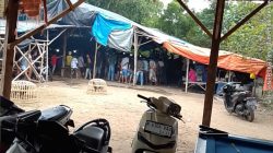 Diduga Bebas Beroperasi, Judi Sabung Ayam dan Dadu di Lekok Pasuruan Jadi Sorotan Publik