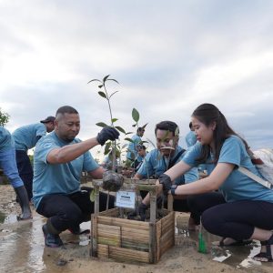 Tanam 250 Bibit Mangrove, ITDC Nusantara Utilitas Perkuat Komitmen Pelestarian Ekosistem Pesisir