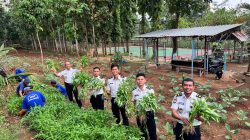 Wujudkan Ketahanan Pangan, Lapas Batang Kembali Panen Puluhan Kilogram Kangkung di Lahan SAE