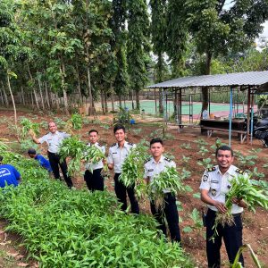 Wujudkan Ketahanan Pangan, Lapas Batang Kembali Panen Puluhan Kilogram Kangkung di Lahan SAE