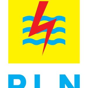Pemuda Peduli Energi Sumatera Apresiasi Langkah Cepat PLN Atasi Gangguan Listrik di Sumatera Utara