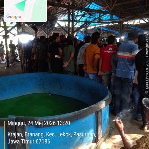 Dugaan Judi Dadu dan Sabung Ayam di Pasuruan Tuai Kritik, Publik Pertanyakan Keseriusan Penegakan Hukum