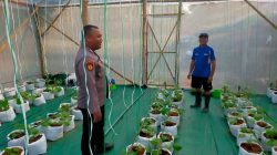 Bhabinkamtibmas Polsek Dukun turut andil Dalam kegiatan pertanian di Desa Mojopentung