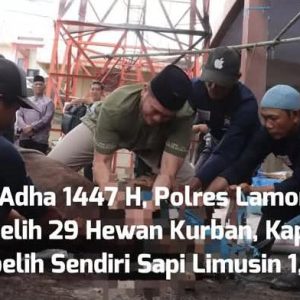 Kapolres Lamongan Sembelih Sapi Limusin 1,2 Ton, Polres Salurkan 29 Hewan Kurban untuk Masyarakat