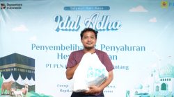 Semangat Berbagi Iduladha 1447 H, PLN UIP JBTB Salurkan Belasan Hewan Kurban untuk Masyarakat