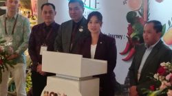 Wamenpar Sebut  Rupiah Melemah Jadi Momentum Tarik Wisatawan ke Indonesia