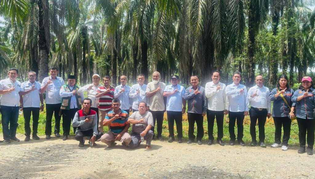 Pemkab Labuhanbatu Tetapkan Desa Tebing Tinggi Pangkatan Jadi Kawasan Peternakan Sapi Potong, 2.721 Ekor Sapi Siap Jadi Motor Ekonomi Baru