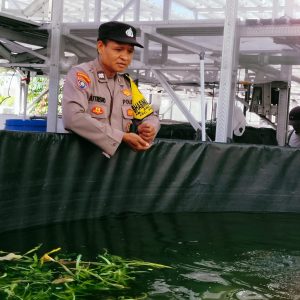 Bhabinkamtibmas Jemur Wonosari Dampingi Budidaya 1.400 Ikan Nila dengan Sistem RAS