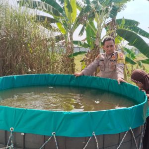 Perkuat Ketahanan Pangan, Polsek Benjeng Lakukan Pengecekan Kolam Lele di Bulurejo
