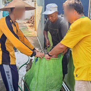 Panen Ikan Lele di Lahan SAE Lapas Kelas IIB Pati Dukung Ketahanan Pangan