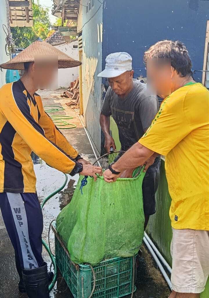 Panen Ikan Lele di Lahan SAE Lapas Kelas IIB Pati Dukung Ketahanan Pangan