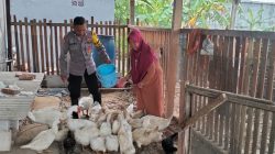 Polsek Benjeng Laksanakan Pemantauan Peternakan Bebek untuk Dukung Program Ketahanan Pangan Nasional