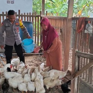 Polsek Benjeng Laksanakan Pemantauan Peternakan Bebek untuk Dukung Program Ketahanan Pangan Nasional