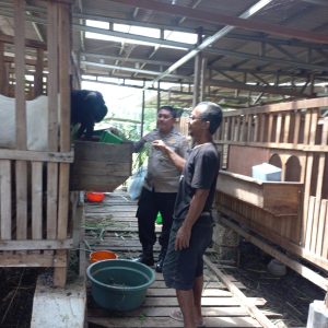 Pengecekan Peternakan Kambing di Desa Banjarsari, Wujud Dukungan Polsek Cerme terhadap Program Ketahanan Pangan