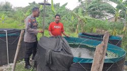 Budidaya Lele di Desa Sekarkurung Dipantau Polsek Kebomas untuk Dukung Ketahanan Pangan