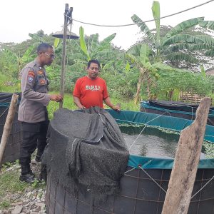 Budidaya Lele di Desa Sekarkurung Dipantau Polsek Kebomas untuk Dukung Ketahanan Pangan
